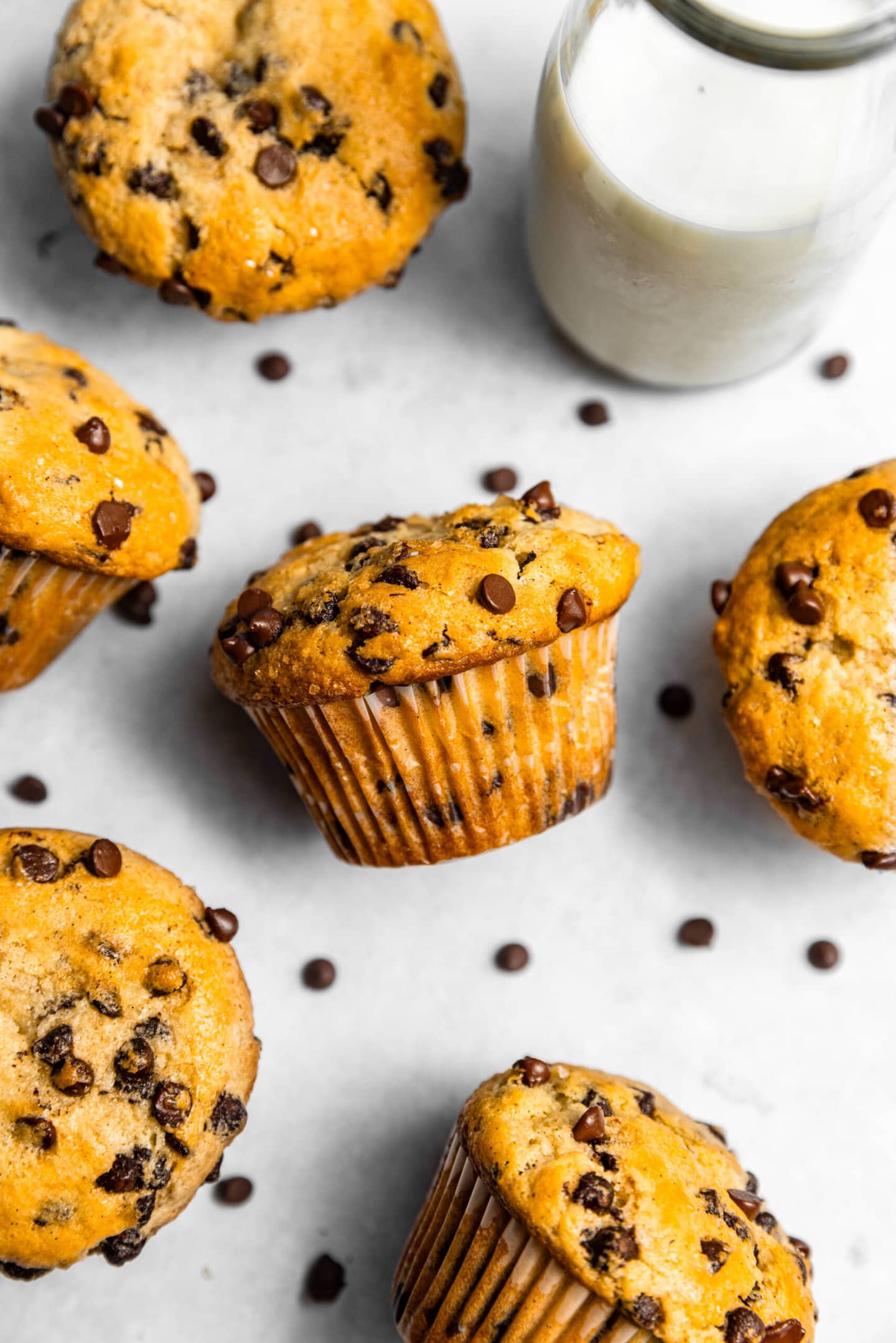 32+ Little Bites Chocolate Chip Muffins Recipe