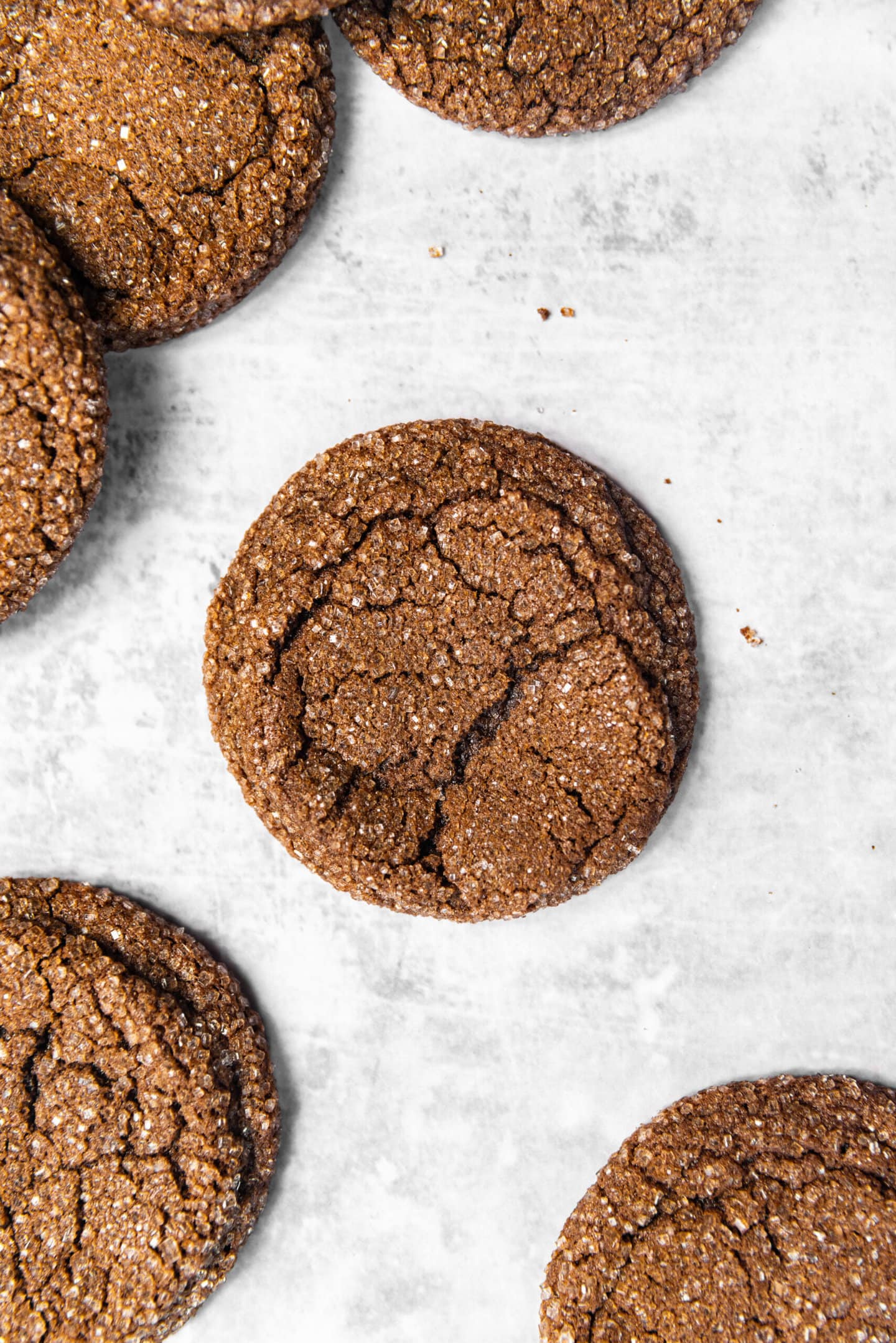 Close up of Drop-Style Chocolate Sugar Cookies