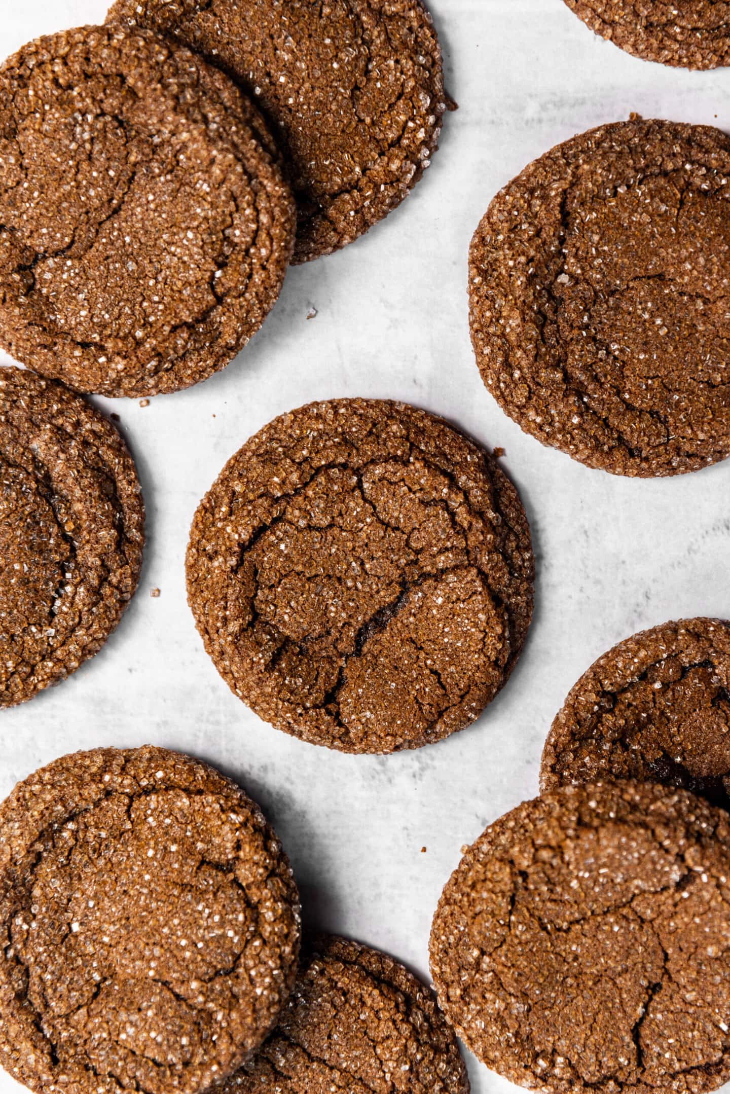 Freshly baked chocolate sugar cookies