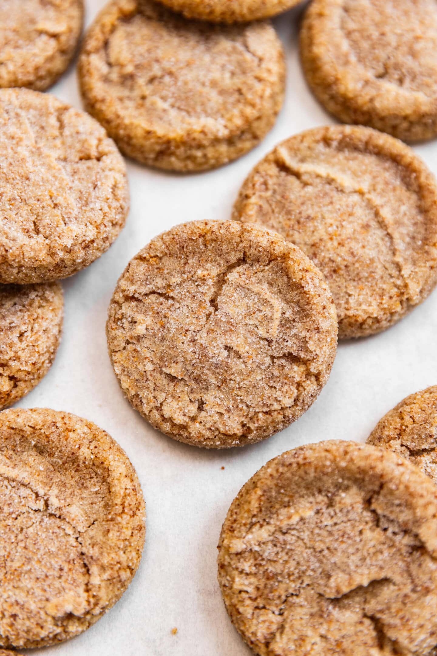 Close up of freshly baked extra-toasty brown butter sugar cookies (with milk powder).